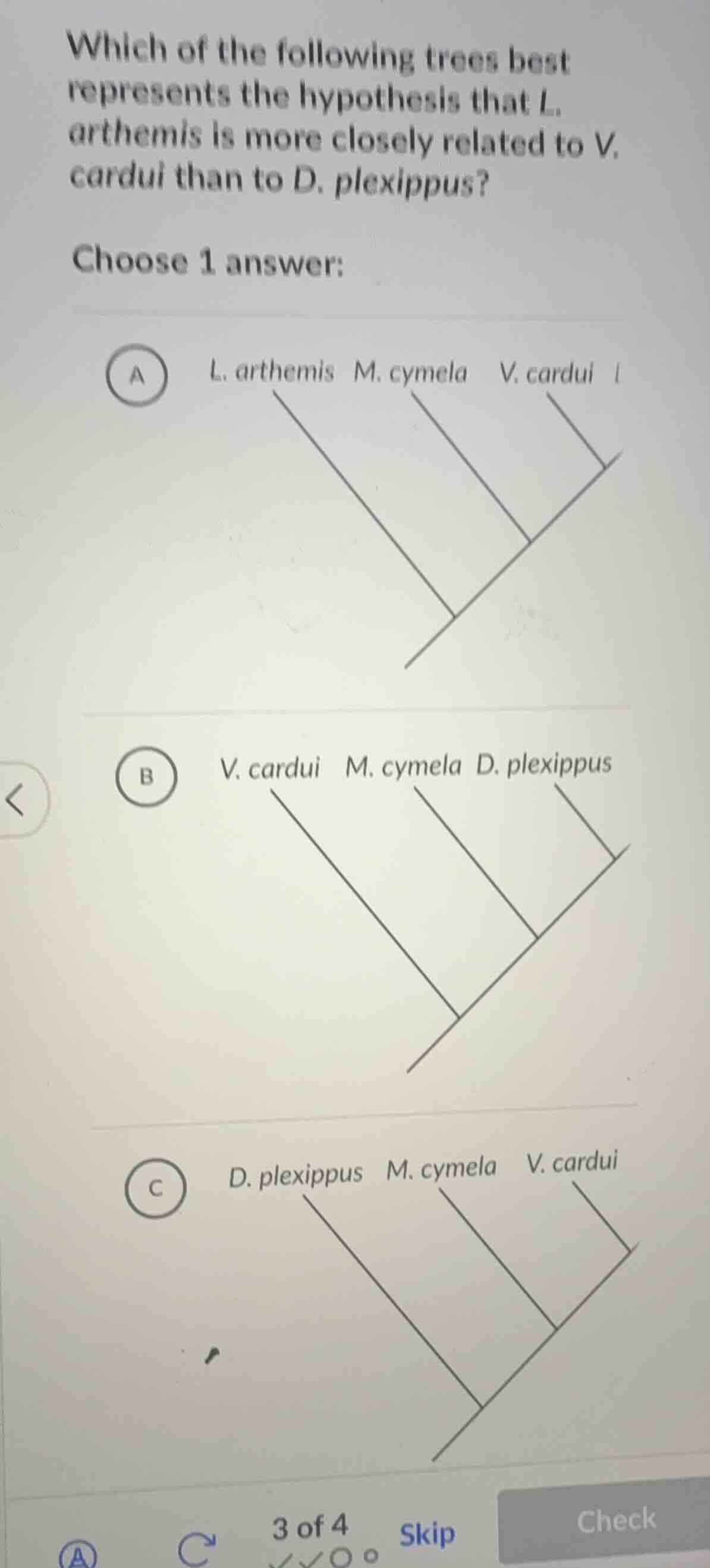 which of the following trees best represents the hypothesis that l. art…