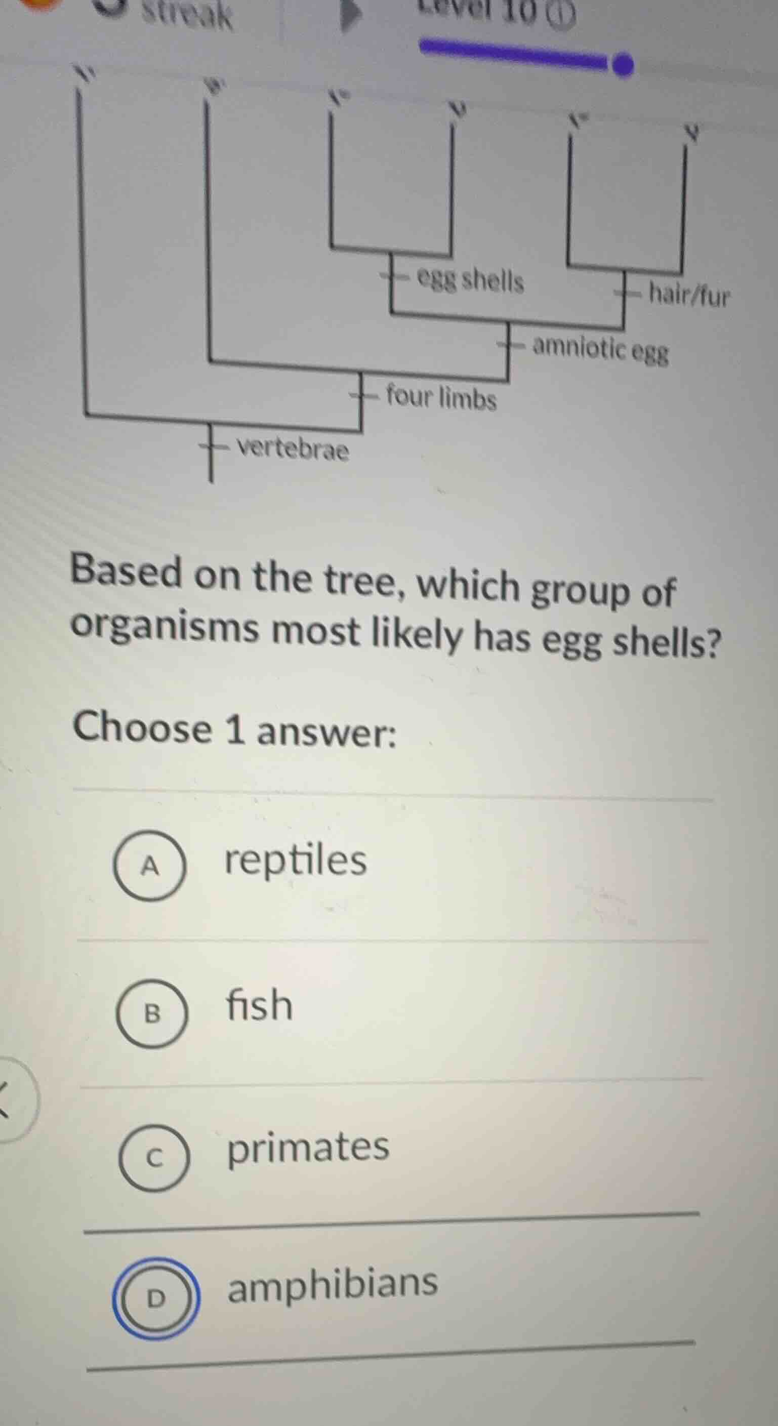 based on the tree, which group of organisms most likely has egg shells?…