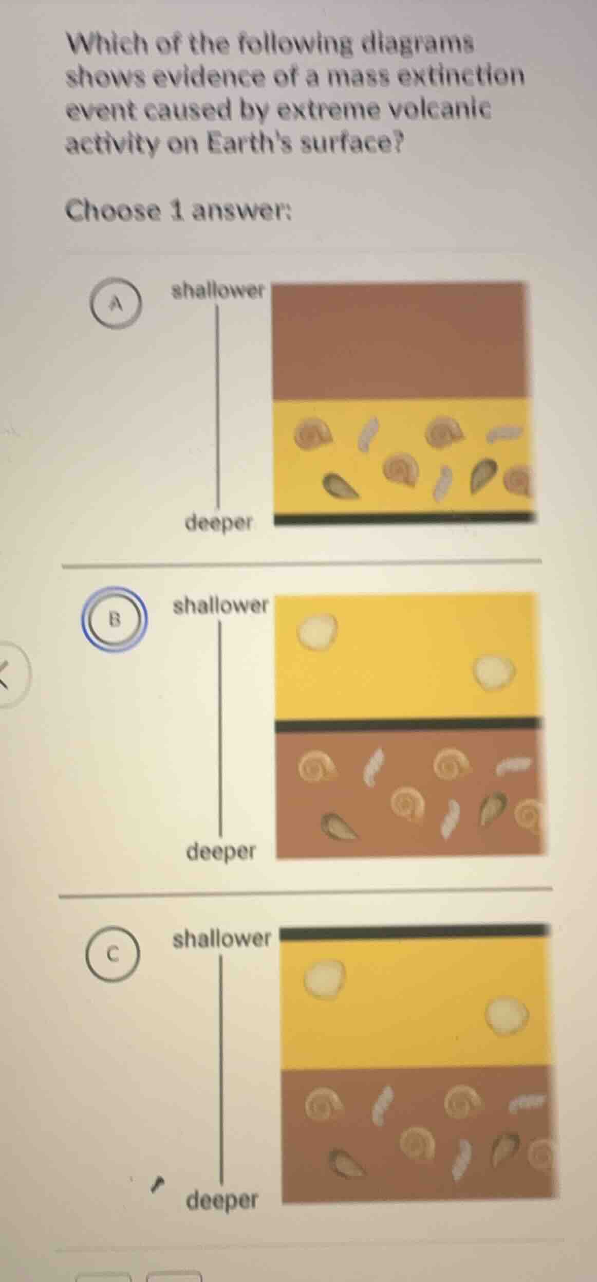which of the following diagrams shows evidence of a mass extinction eve…
