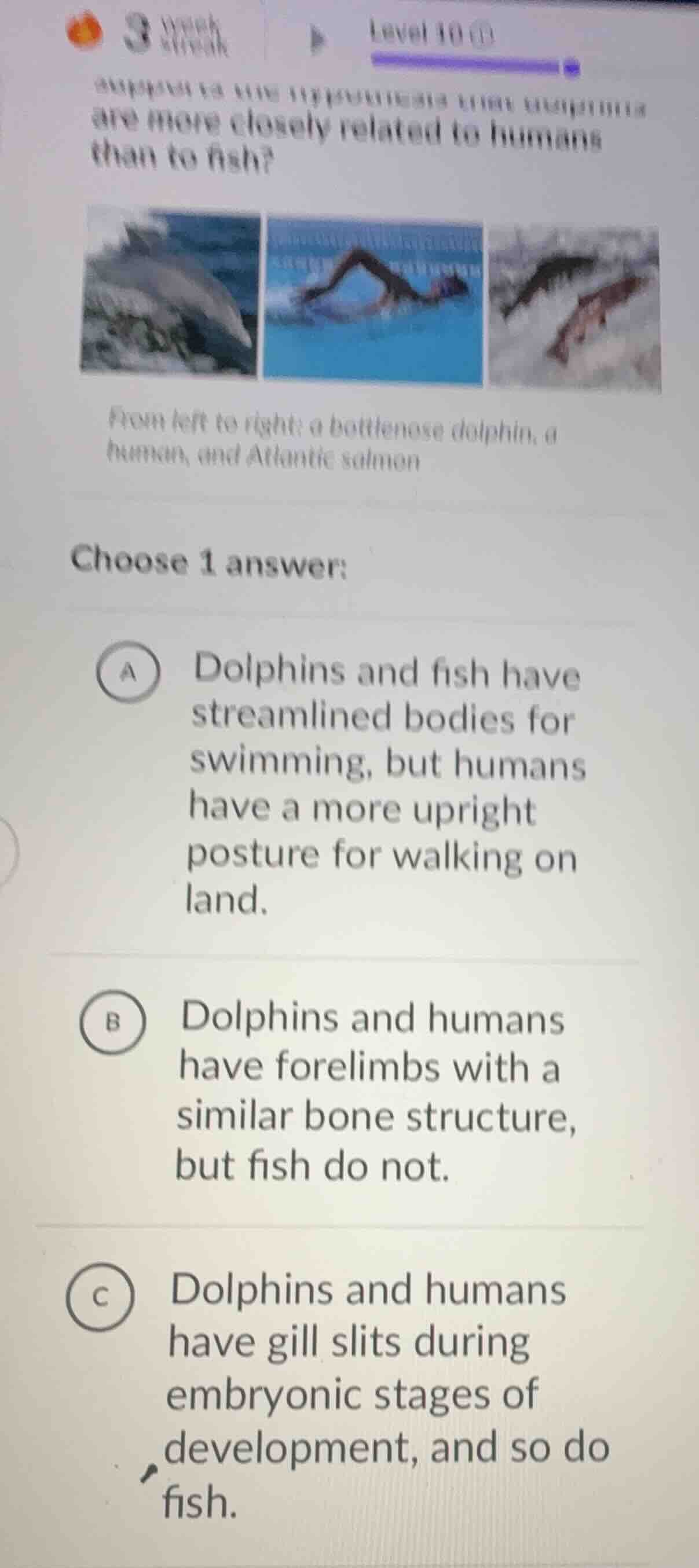 are more closely related to humans than to fish? from left to right: a …