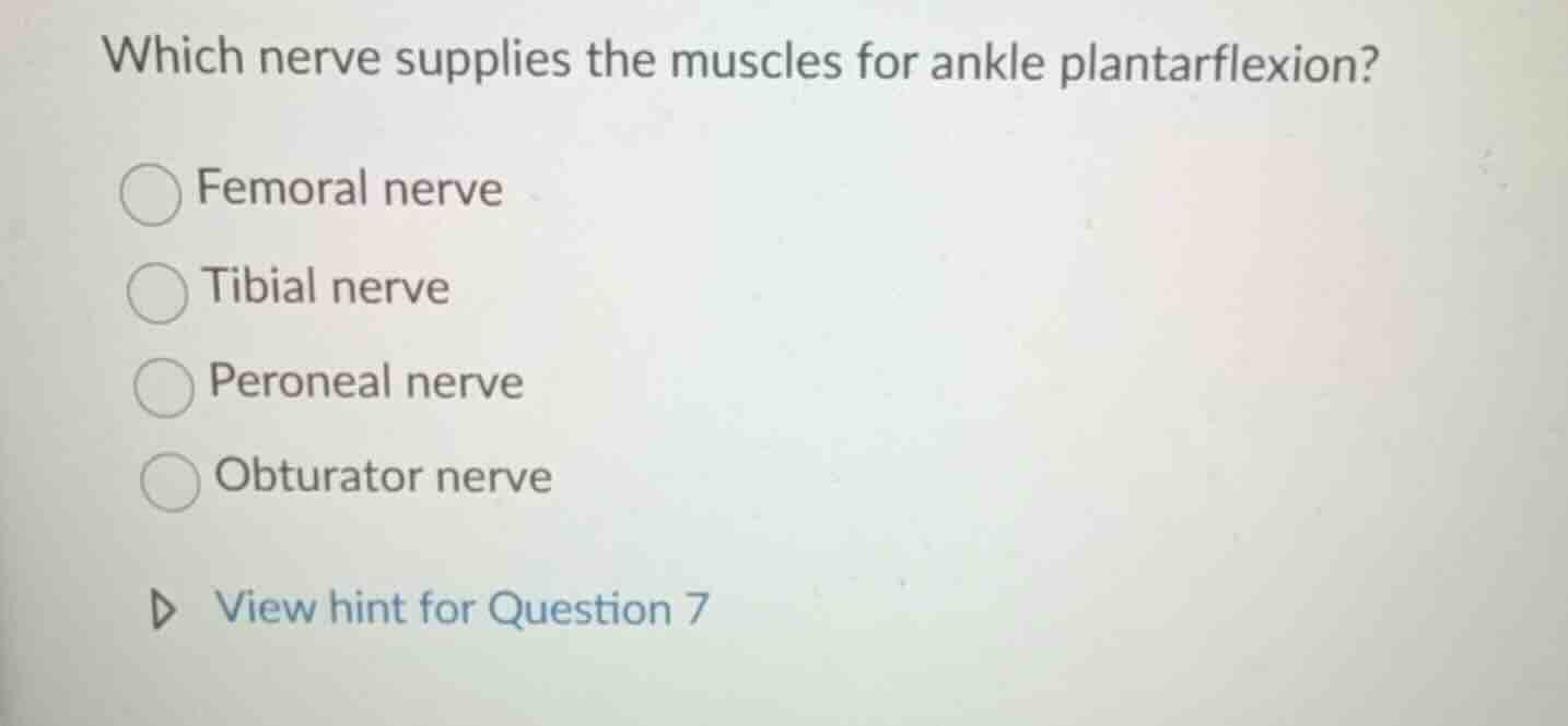 which nerve supplies the muscles for ankle plantarflexion? femoral nerv…