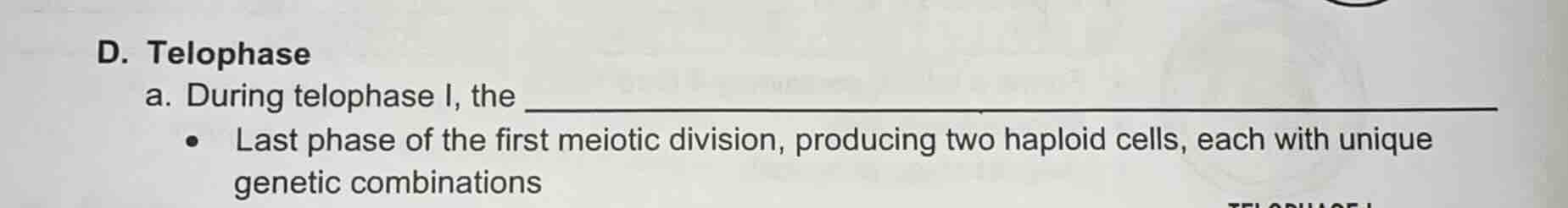 d. telophase a. during telophase i, the - last phase of the first meiot…