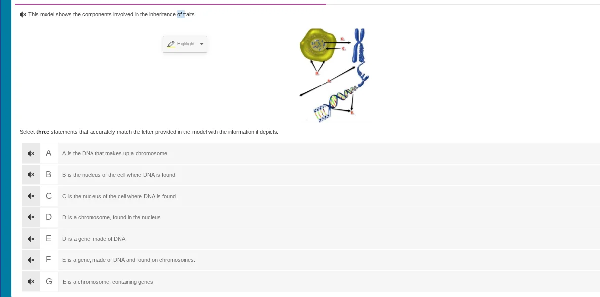 this model shows the components involved in the inheritance of traits. …