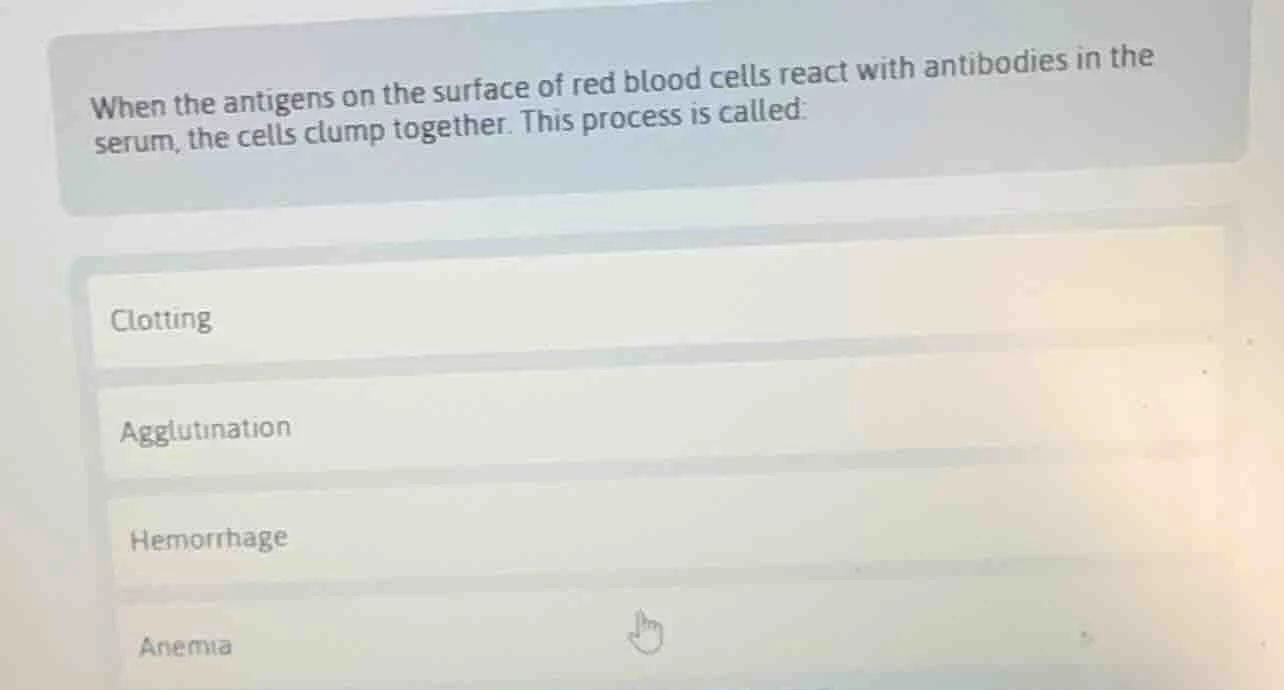 when the antigens on the surface of red blood cells react with antibodi…