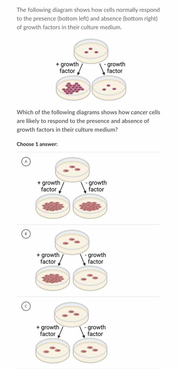 the following diagram shows how cells normally respond to the presence …