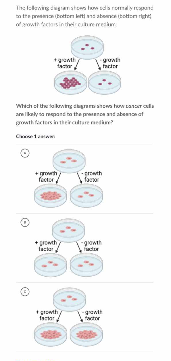 the following diagram shows how cells normally respond to the presence …