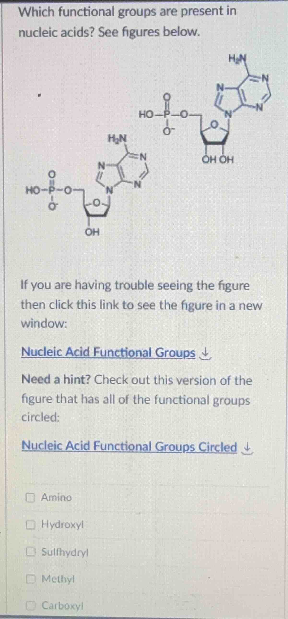 which functional groups are present in nucleic acids? see figures below…