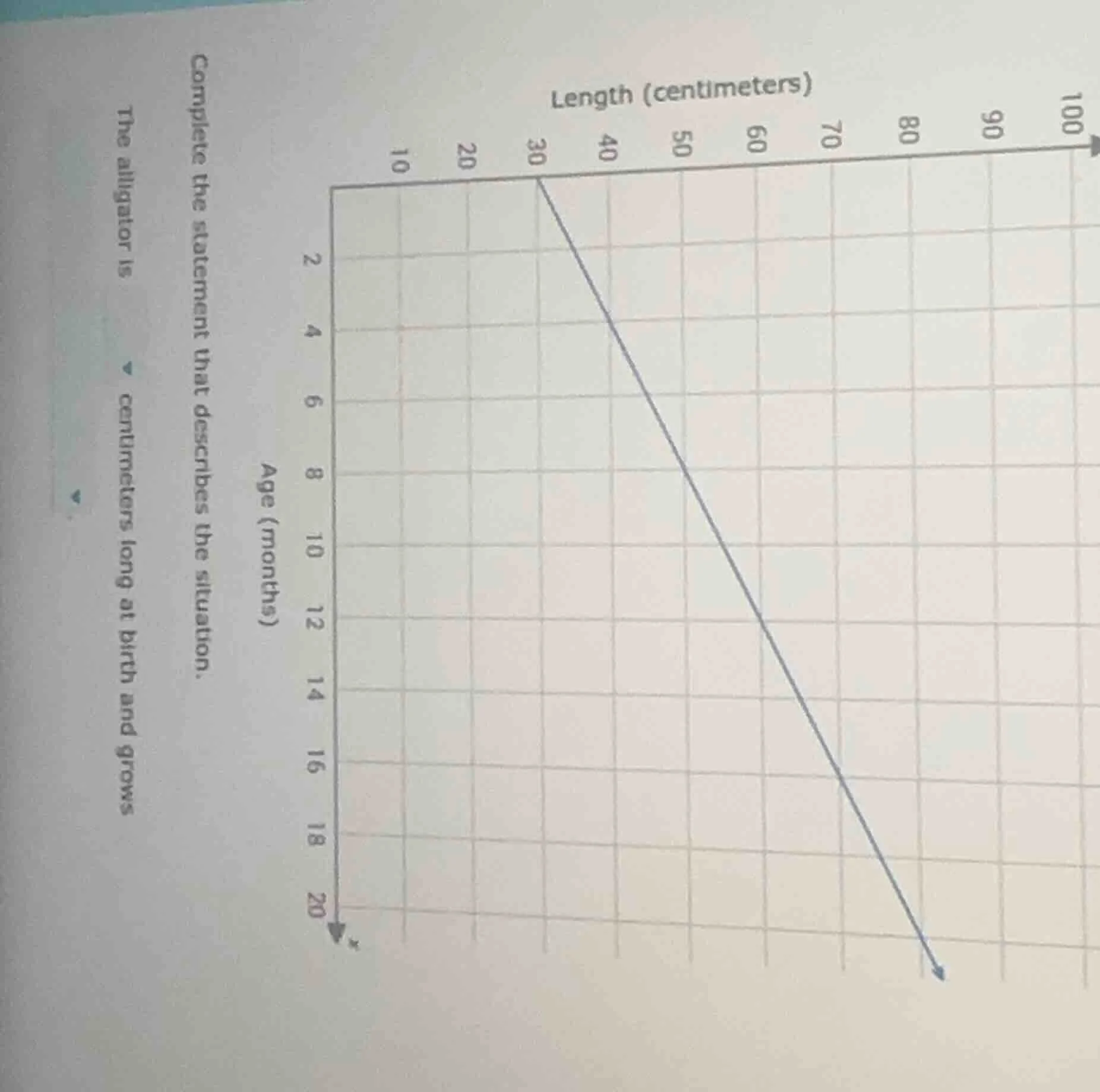 complete the statement that describes the situation. the alligator is c…