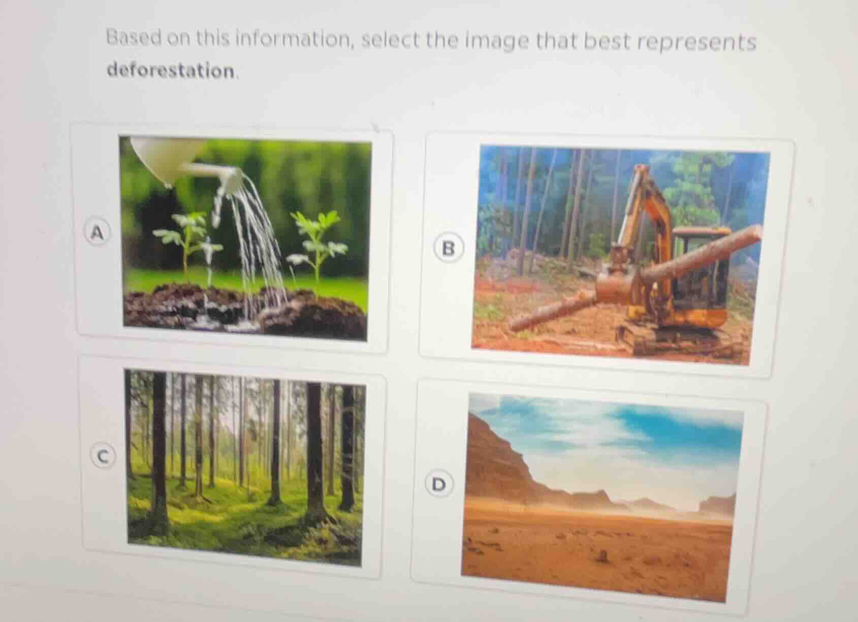 based on this information, select the image that best represents defore…