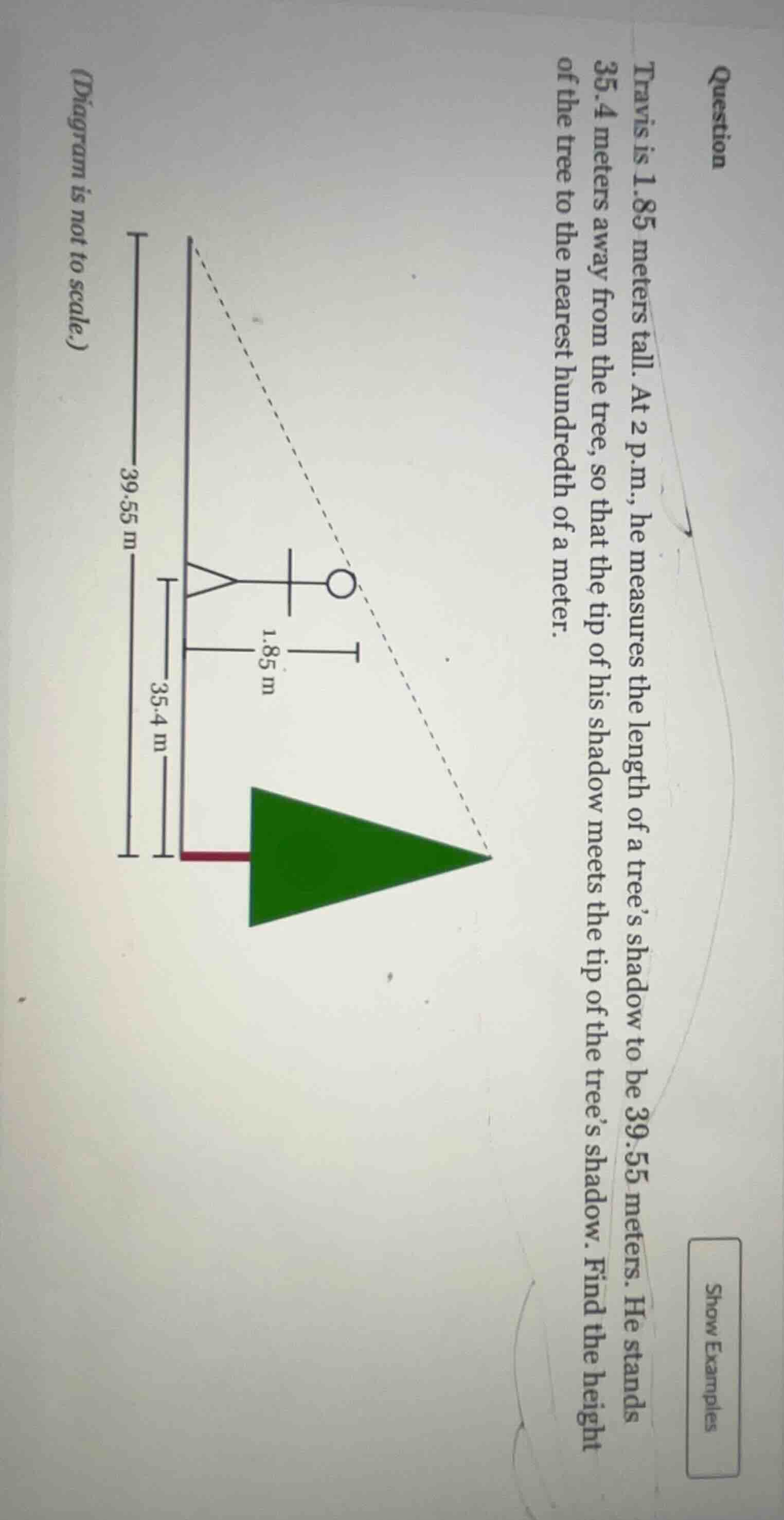 question travis is 1.85 meters tall. at 2 p.m., he measures the length …