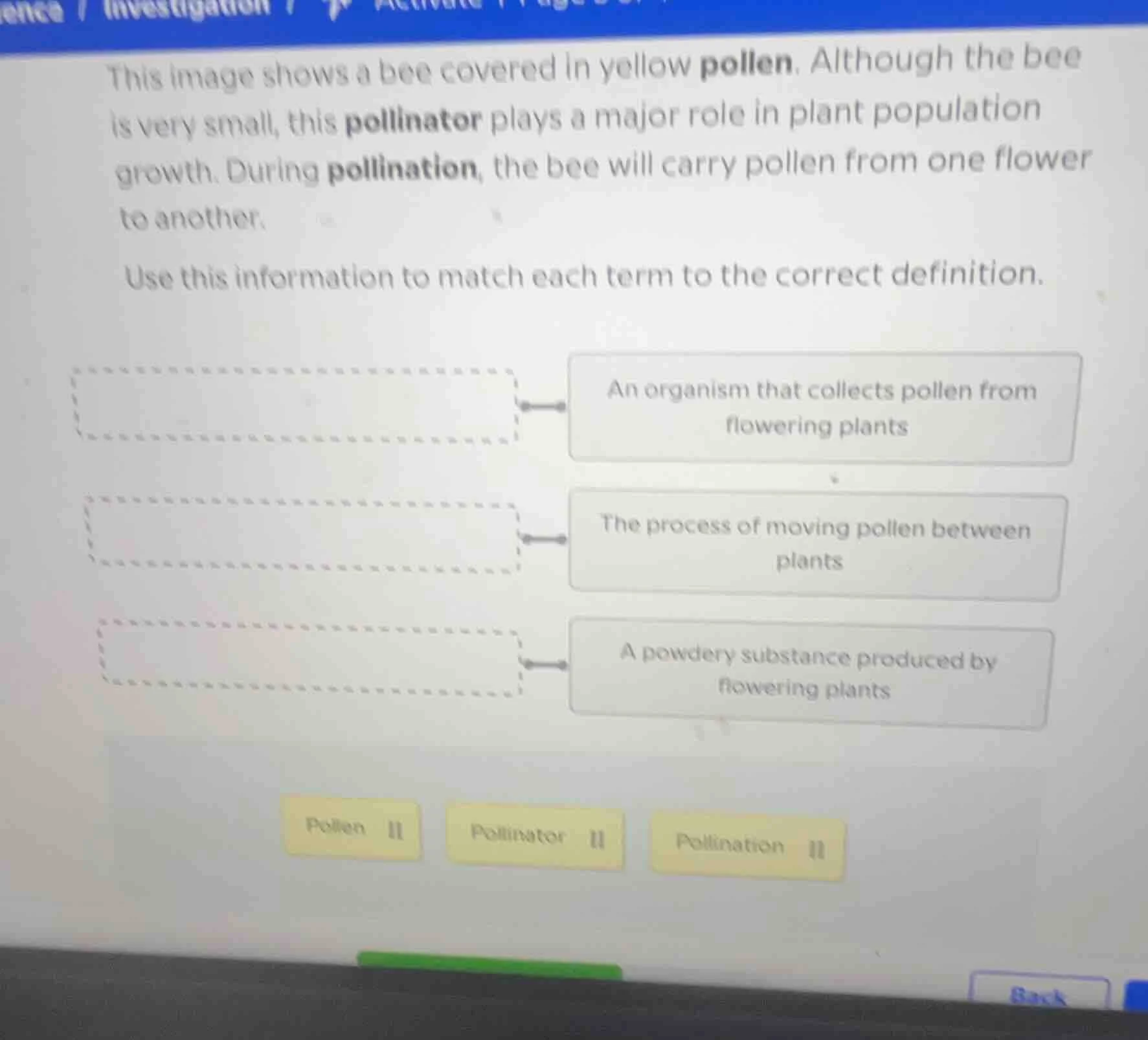 this image shows a bee covered in yellow pollen. although the bee is ve…