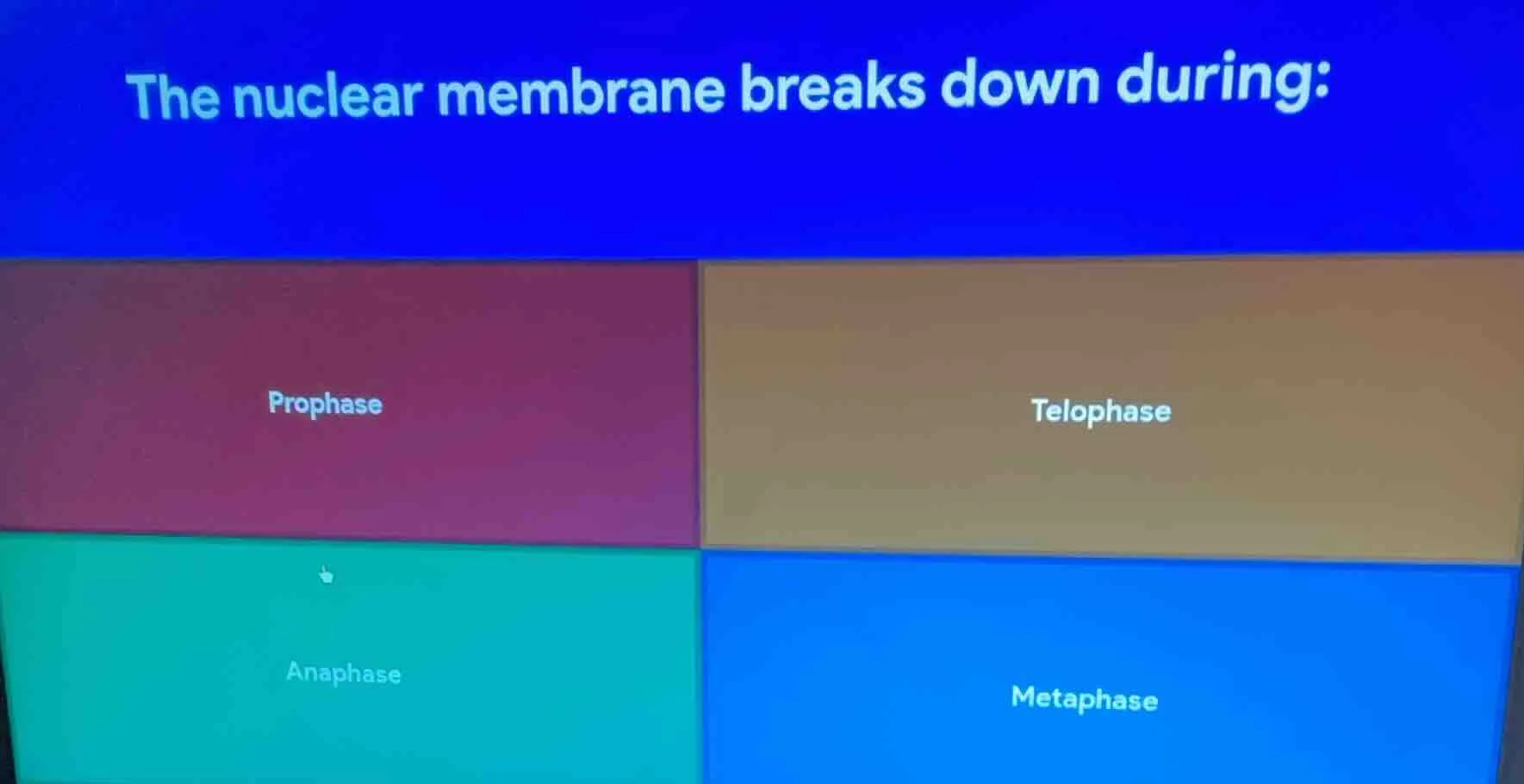 the nuclear membrane breaks down during: prophase telophase anaphase me…