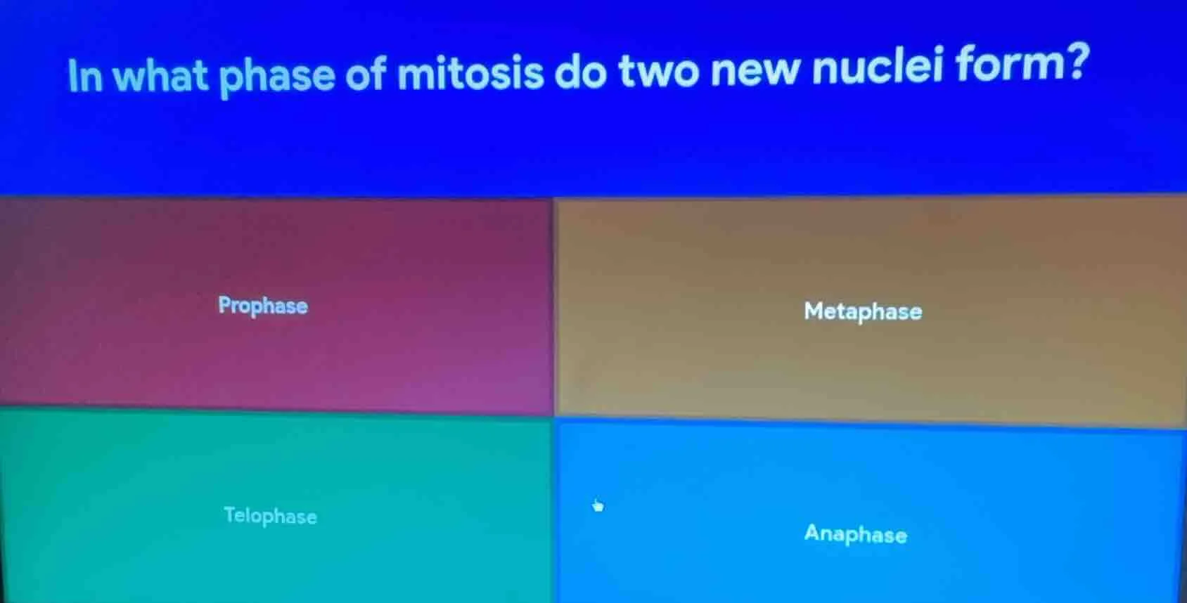 in what phase of mitosis do two new nuclei form? prophase metaphase tel…