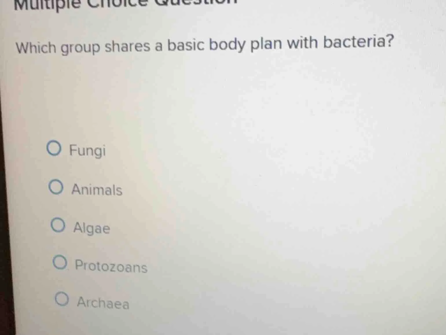 multiple choice question which group shares a basic body plan with bact…