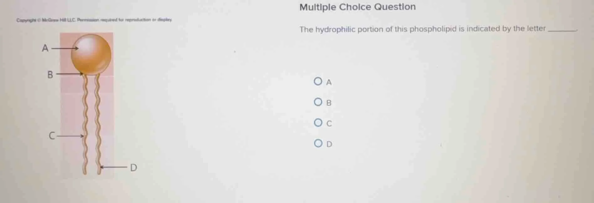 multiple choice question the hydrophilic portion of this phospholipid i…