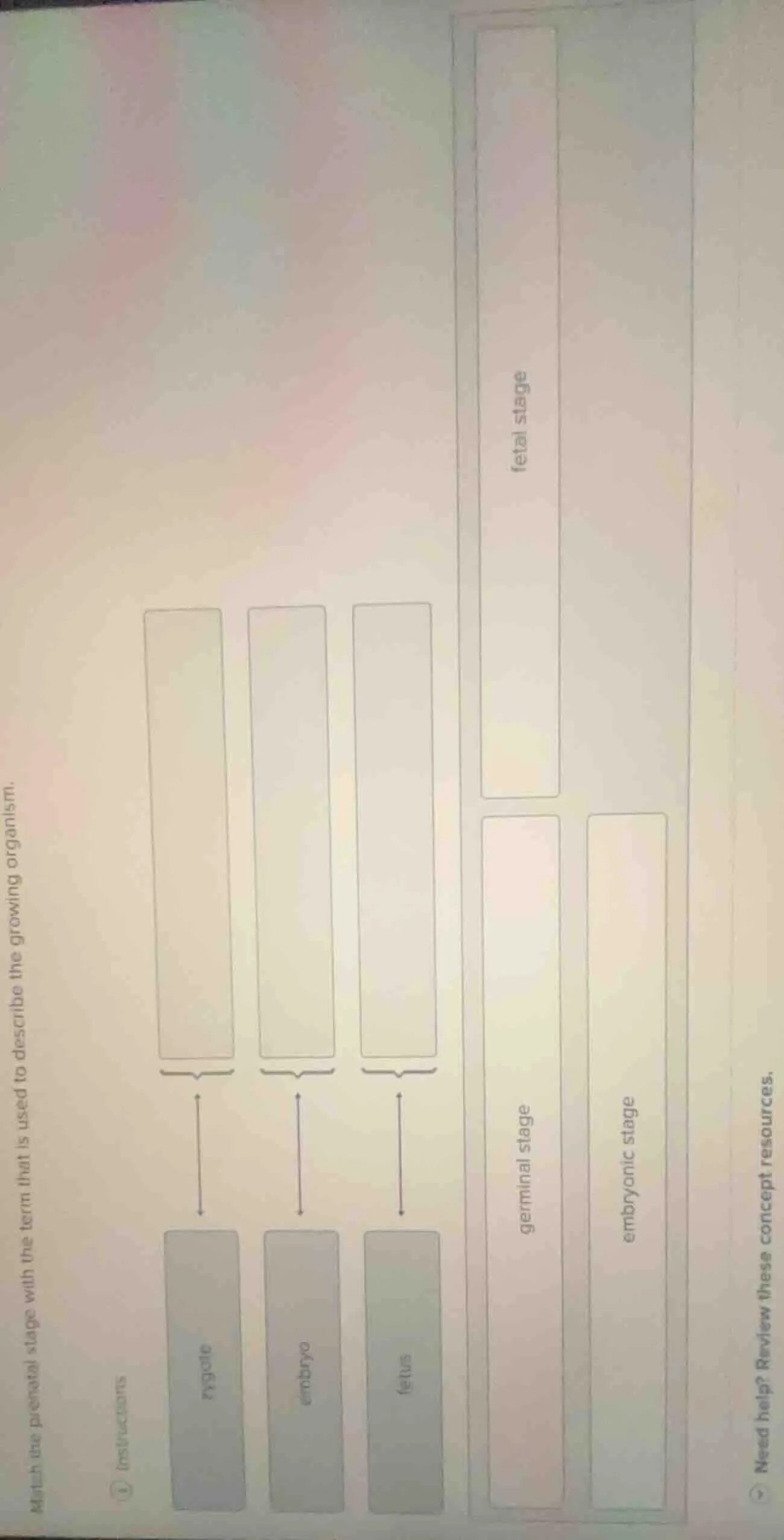 match the prenatal stage with the term that is used to describe the gro…