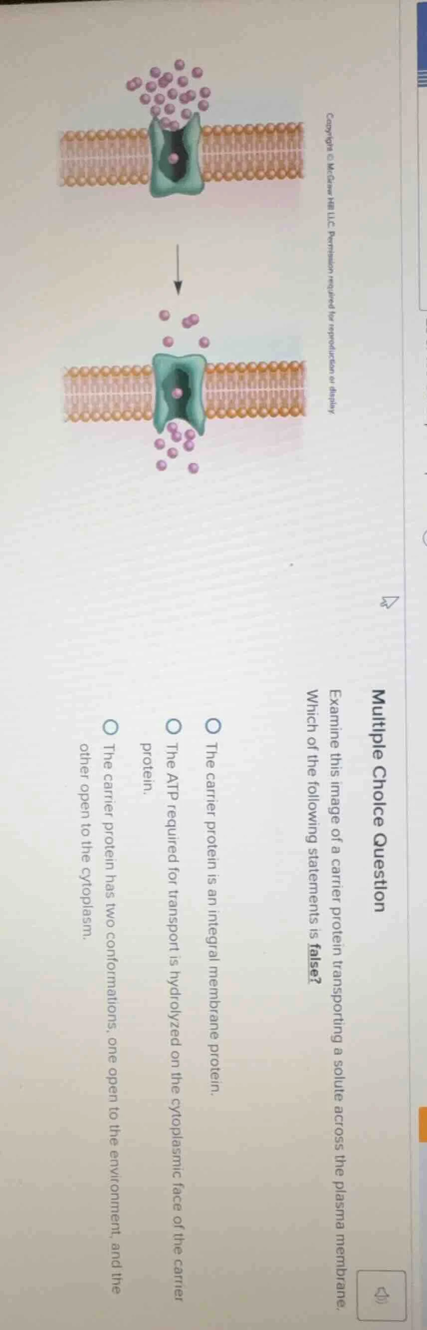 multiple choice question examine this image of a carrier protein transp…