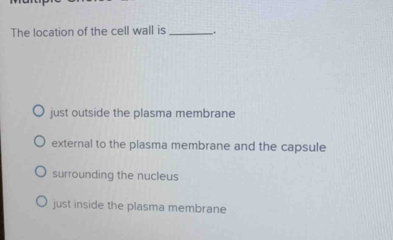 the location of the cell wall is ______. just outside the plasma membra…
