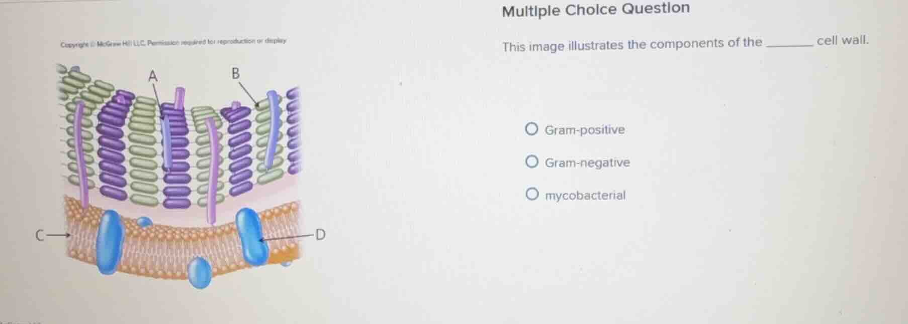 multiple choice question this image illustrates the components of the _…