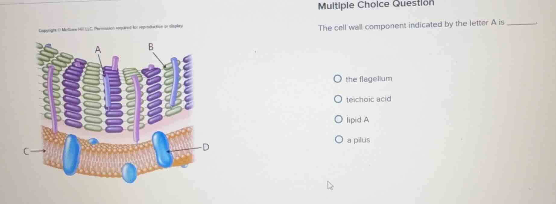 multiple choice question the cell wall component indicated by the lette…