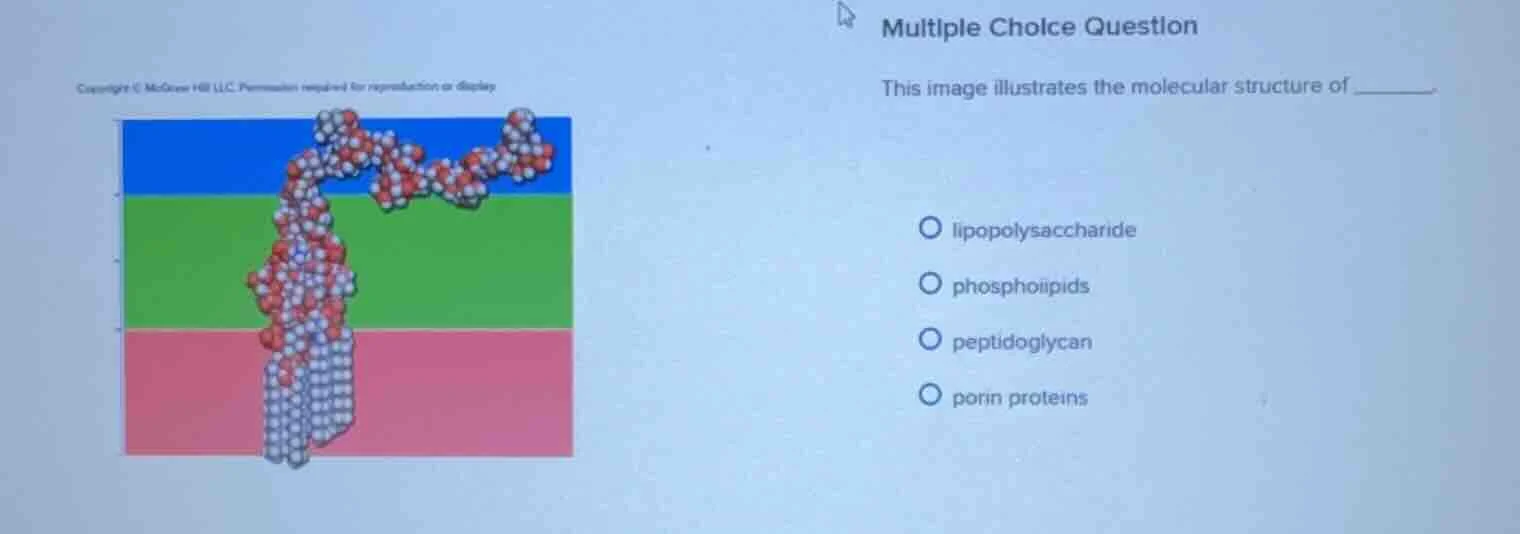 multiple choice question this image illustrates the molecular structure…