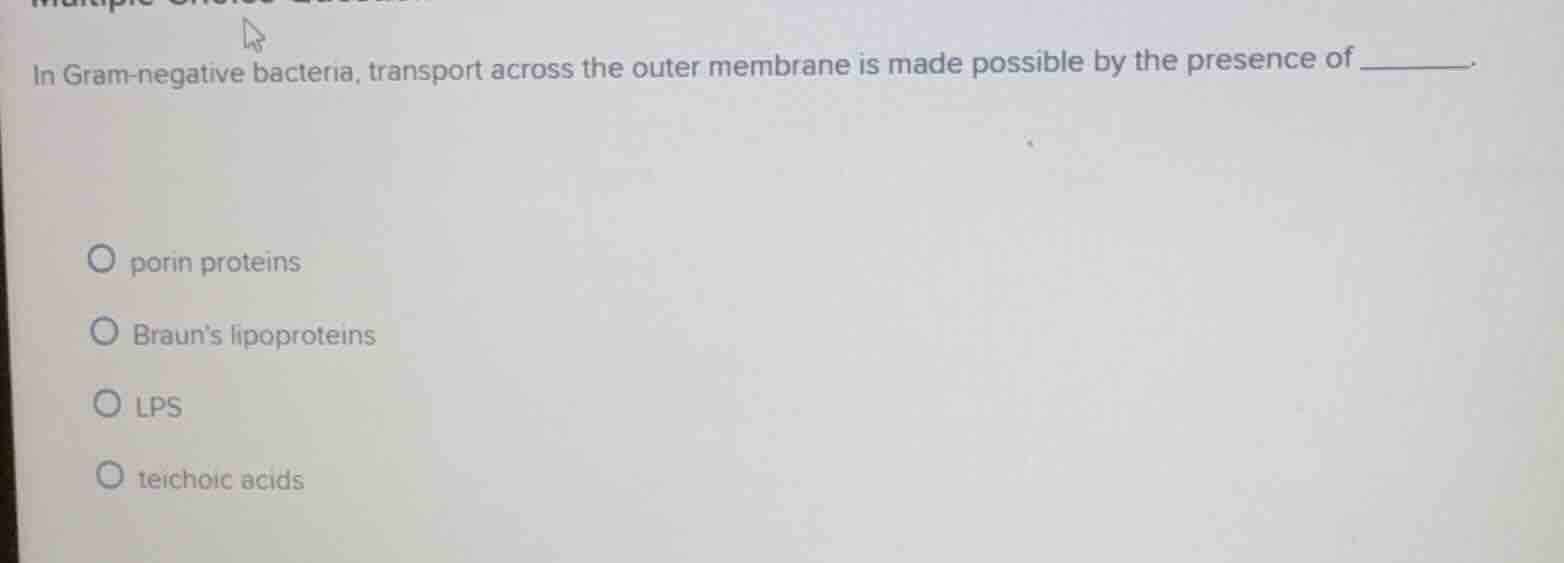 in gram-negative bacteria, transport across the outer membrane is made …