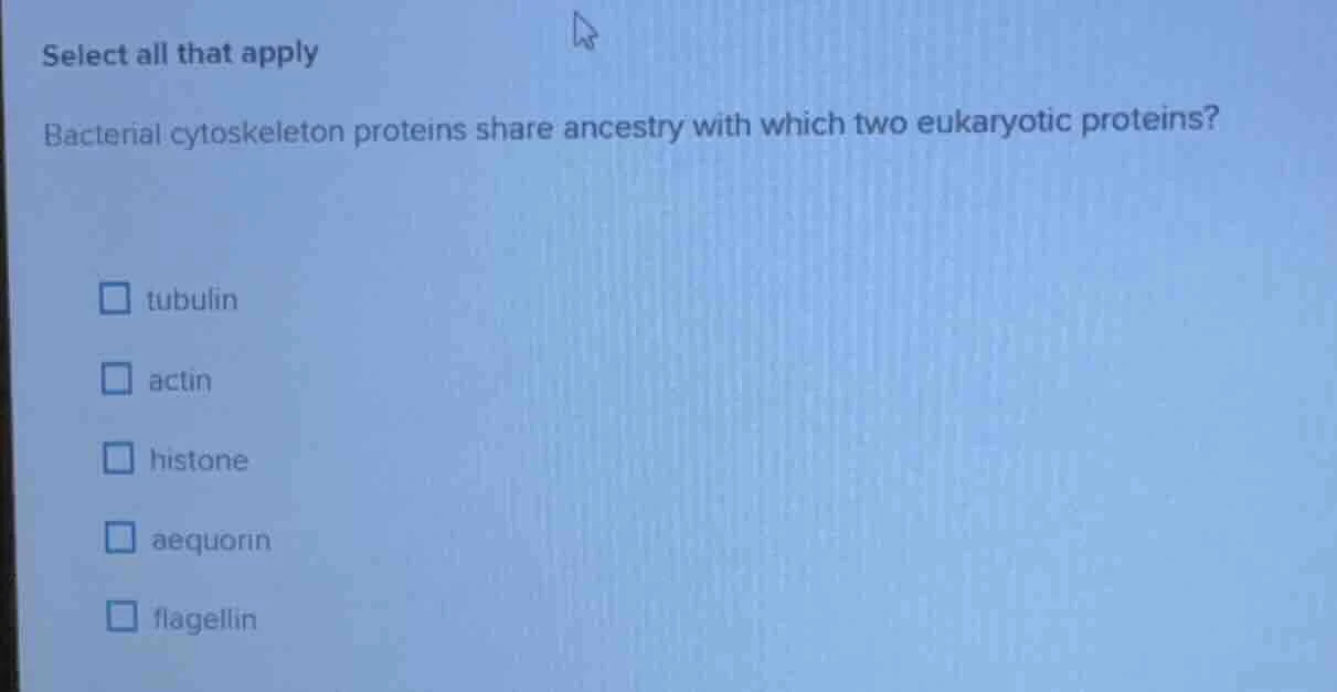 select all that apply bacterial cytoskeleton proteins share ancestry wi…