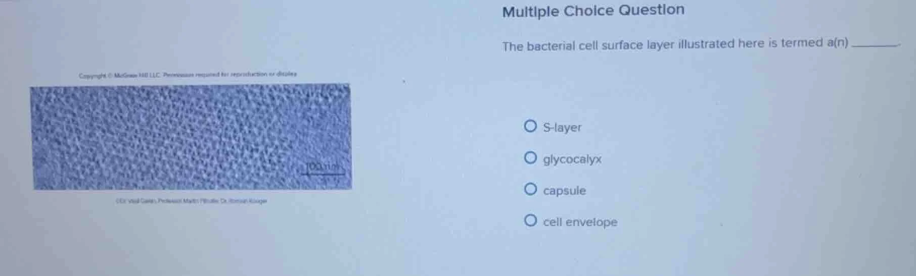 multiple choice question the bacterial cell surface layer illustrated h…