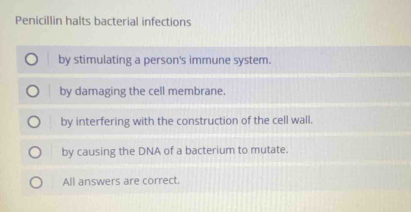 penicillin halts bacterial infections by stimulating a persons immune s…