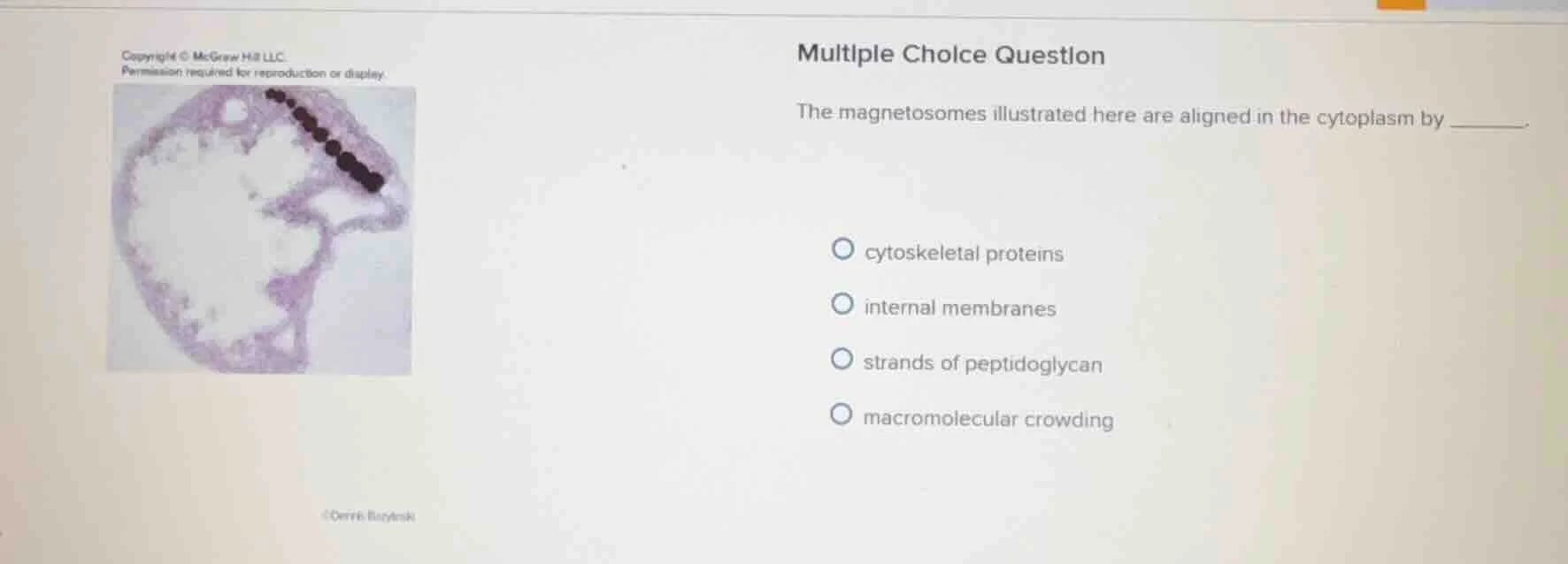 multiple choice question the magnetosomes illustrated here are aligned …
