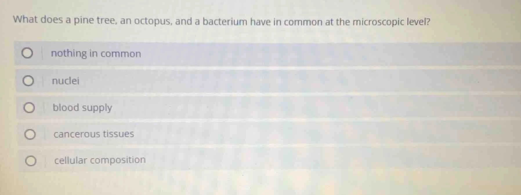 what does a pine tree, an octopus, and a bacterium have in common at th…