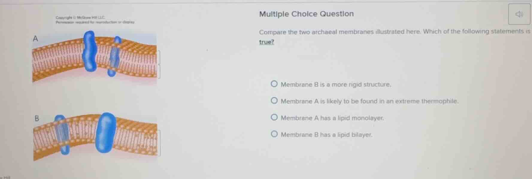 multiple choice question compare the two archaeal membranes illustrated…