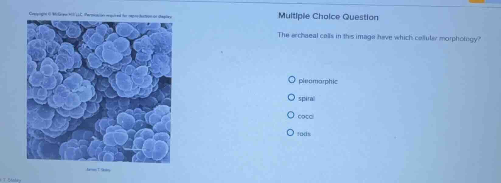 multiple choice question the archaeal cells in this image have which ce…