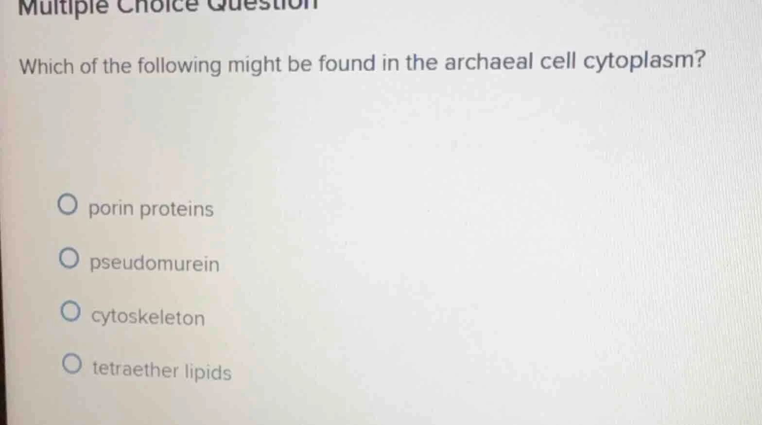 multiple choice question which of the following might be found in the a…