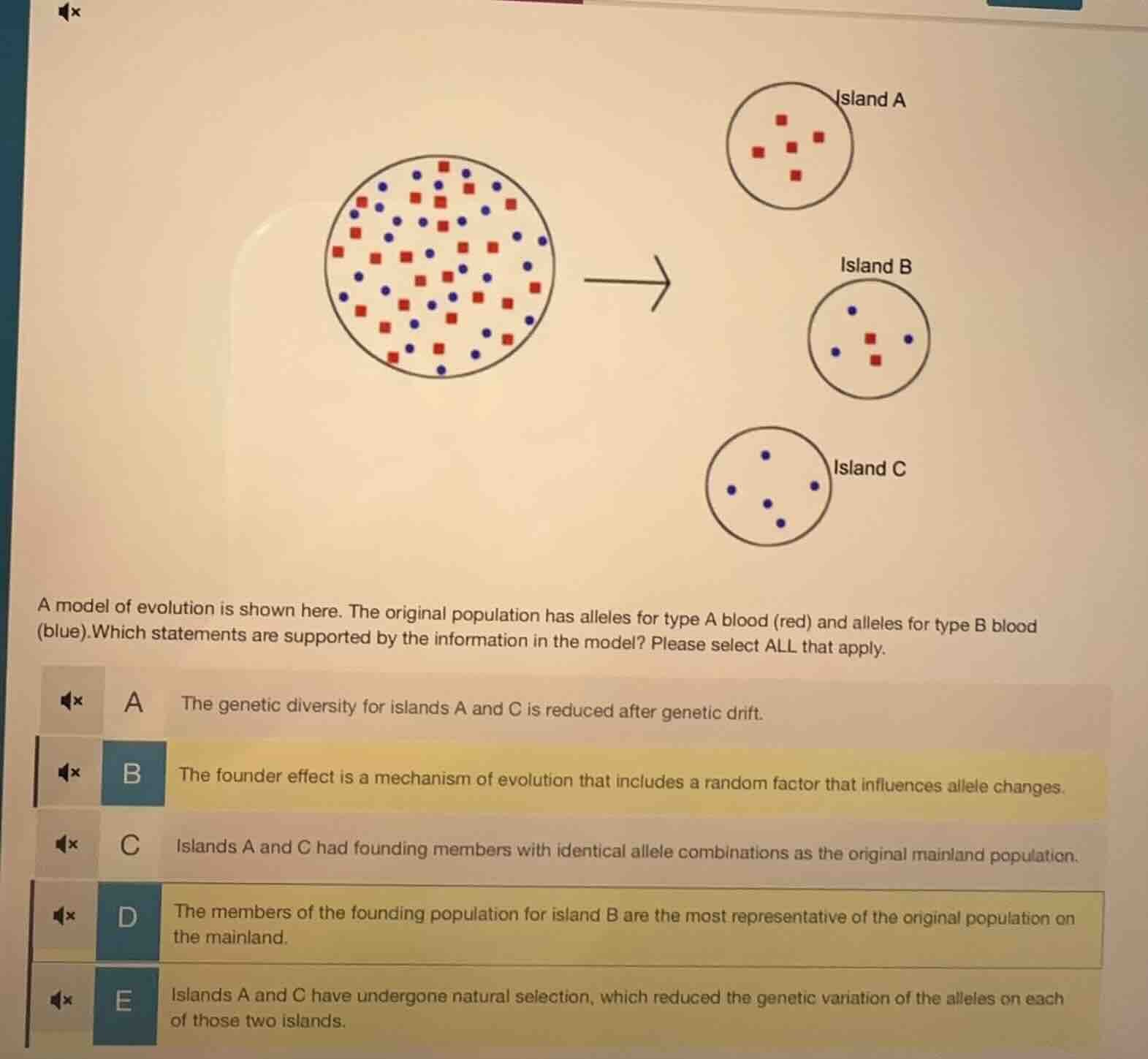 a model of evolution is shown here. the original population has alleles…