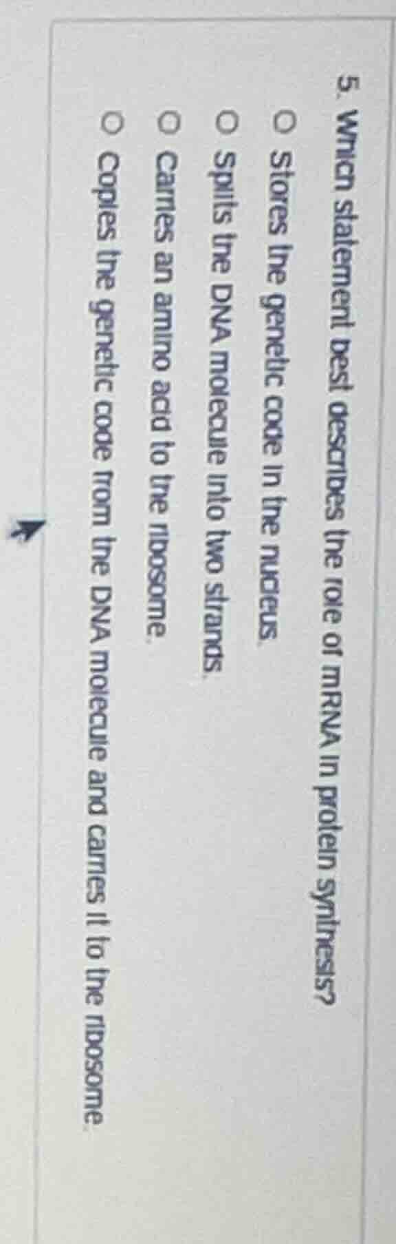 5. which statement best describes the role of mrna in protein synthesis…