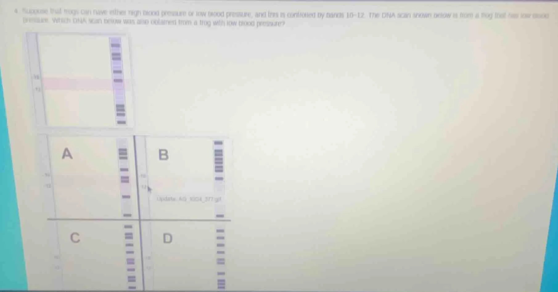 4. suppose that frogs can have either high blood pressure or low blood …