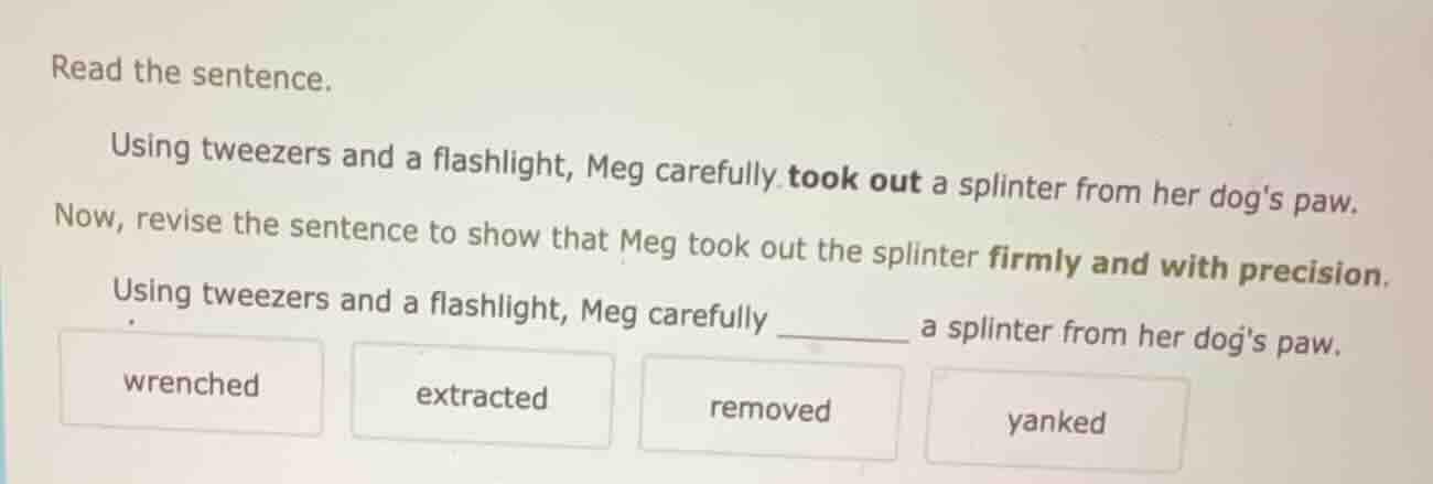 read the sentence. using tweezers and a flashlight, meg carefully took …