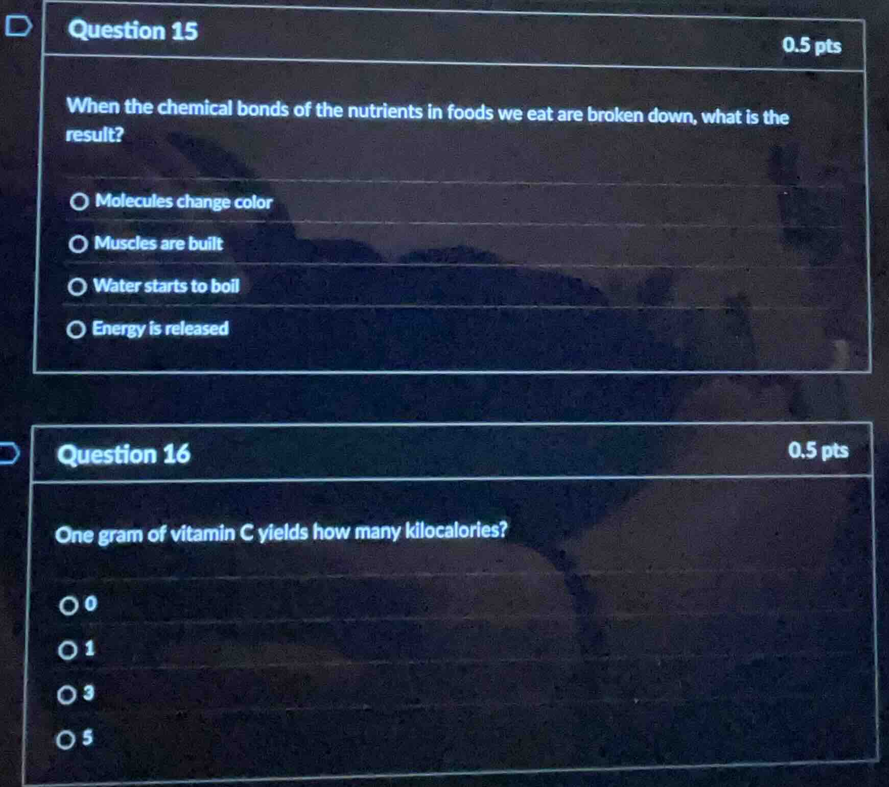 question 15 0.5 pts when the chemical bonds of the nutrients in foods w…