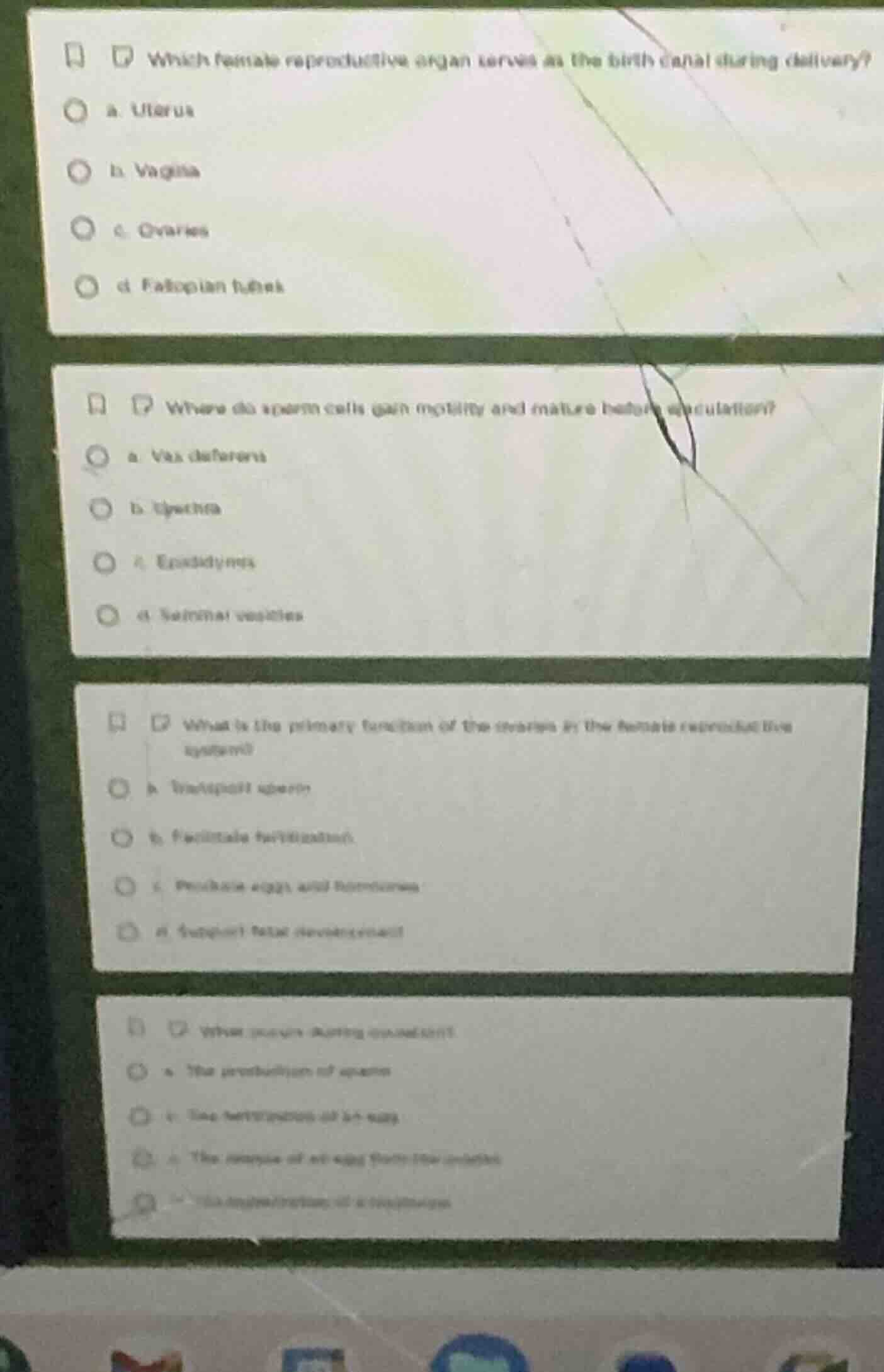 which female reproductive organ serves as the birth canal during delive…