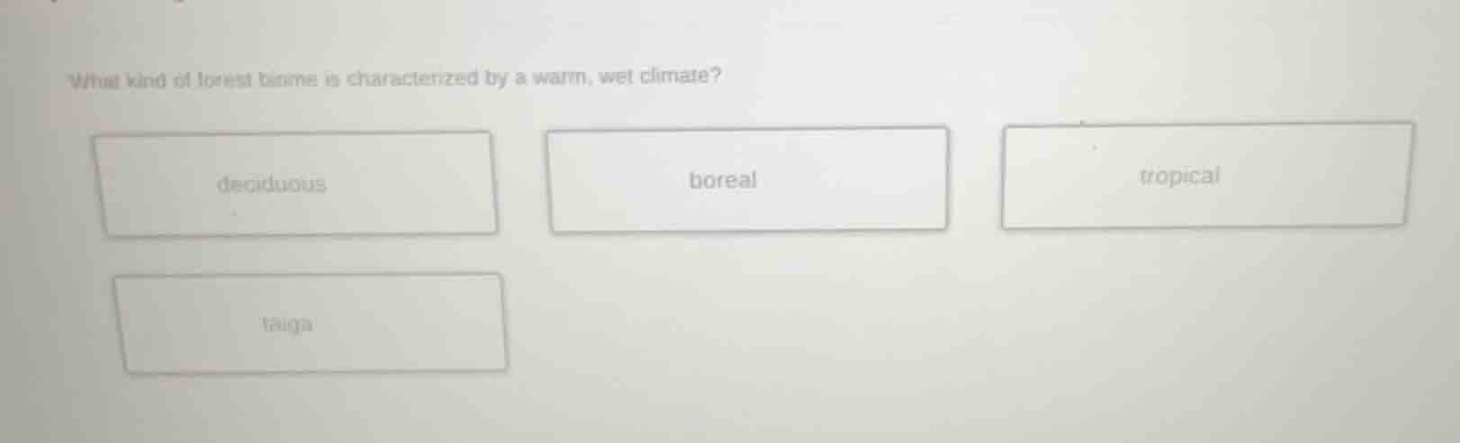 what kind of forest biome is characterized by a warm, wet climate? deci…
