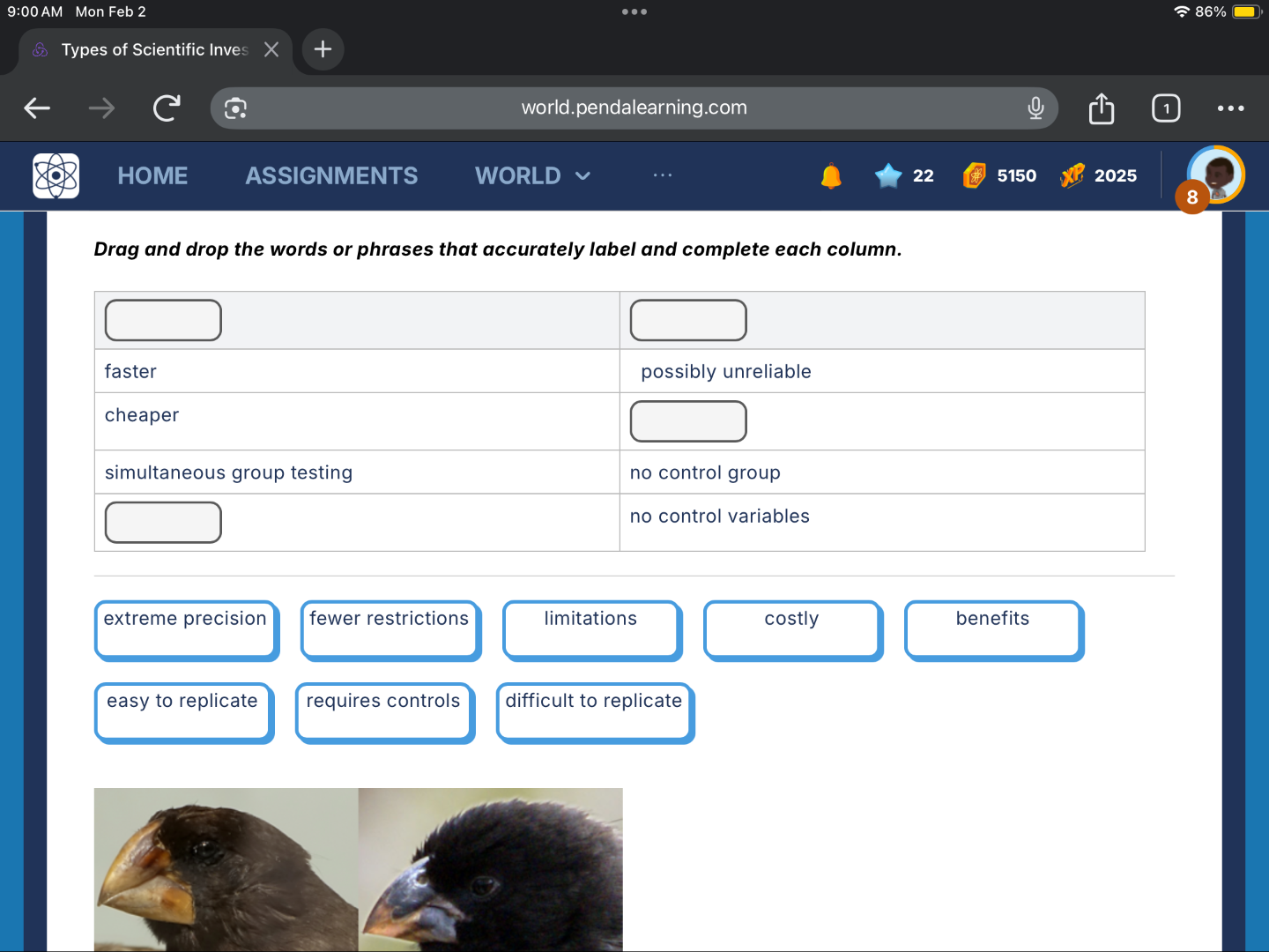 drag and drop the words or phrases that accurately label and complete e…