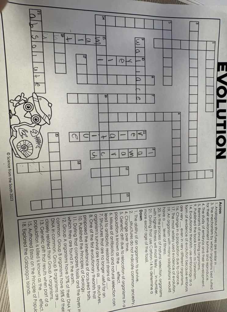 evolution across 1. analogous structures are similar in ______, but not…