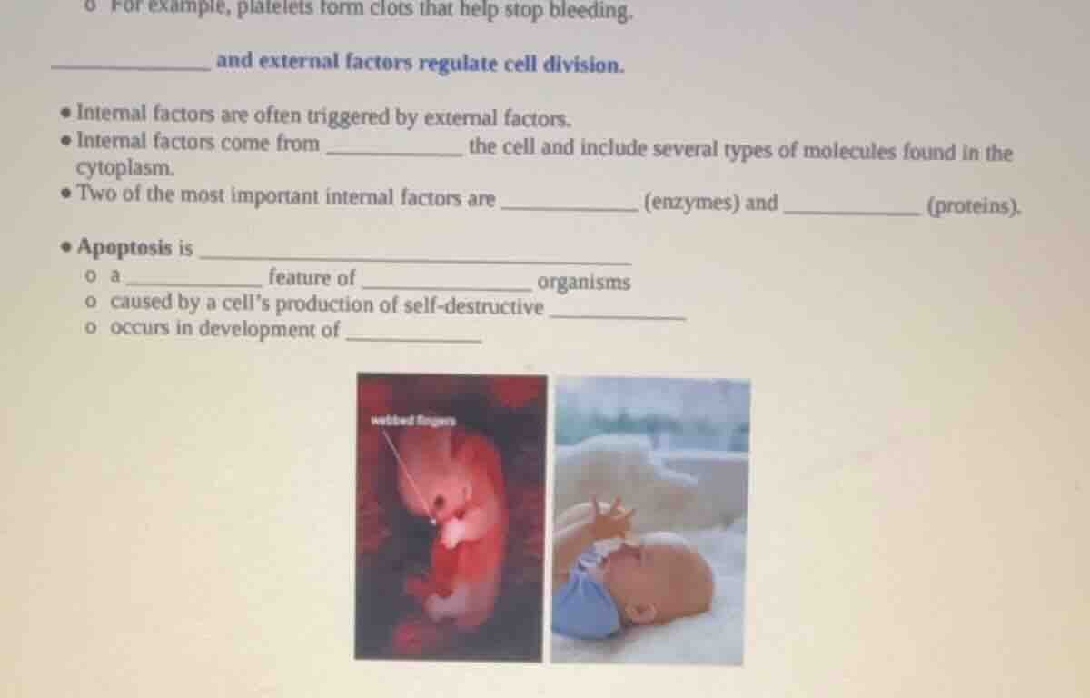 for example, platelets form clots that help stop bleeding. __________ a…