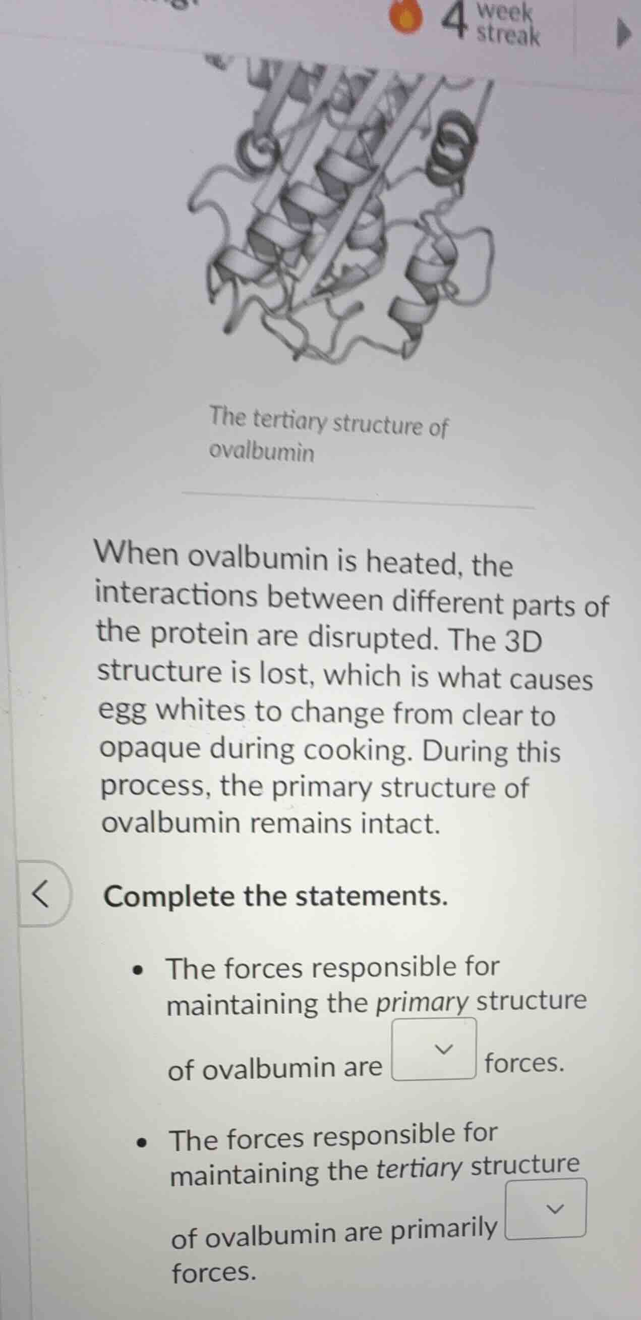 the tertiary structure of ovalbumin when ovalbumin is heated, the inter…