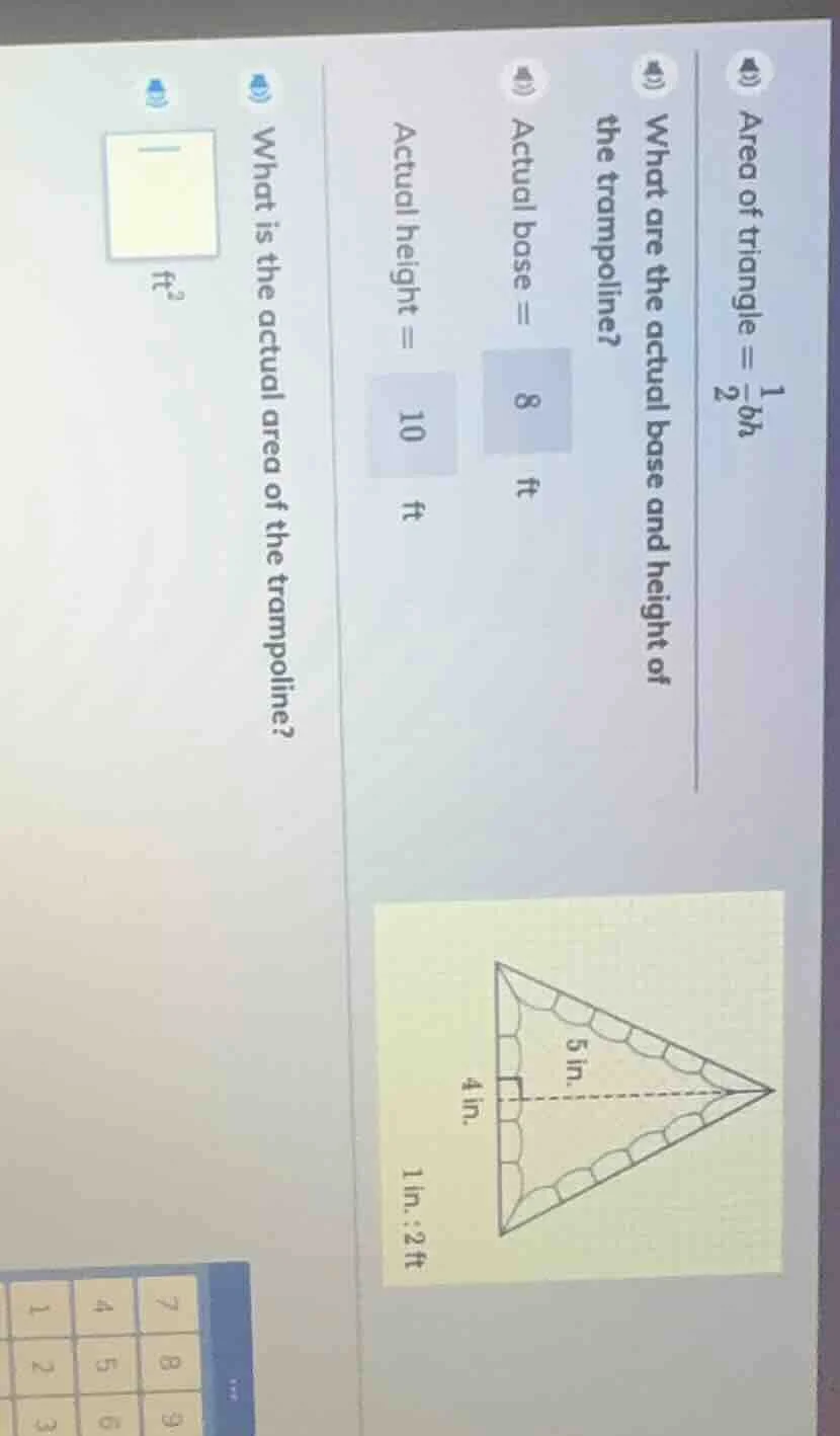 area of triangle = \\(\\frac{1}{2}bh\\)\ what are the actual base and h…