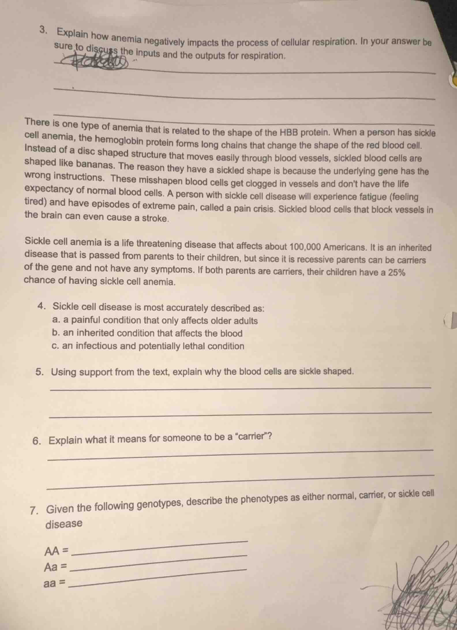 3. explain how anemia negatively impacts the process of cellular respir…