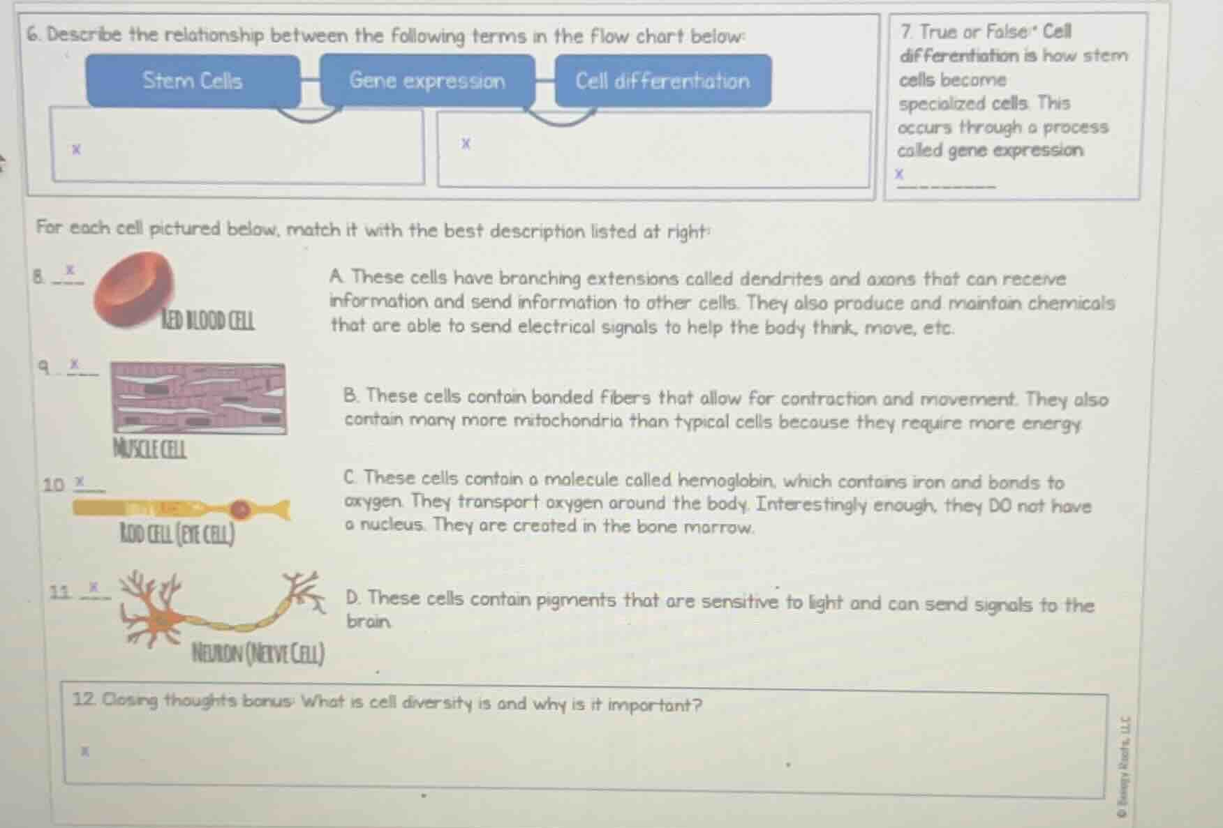 6. describe the relationship between the following terms in the flow ch…