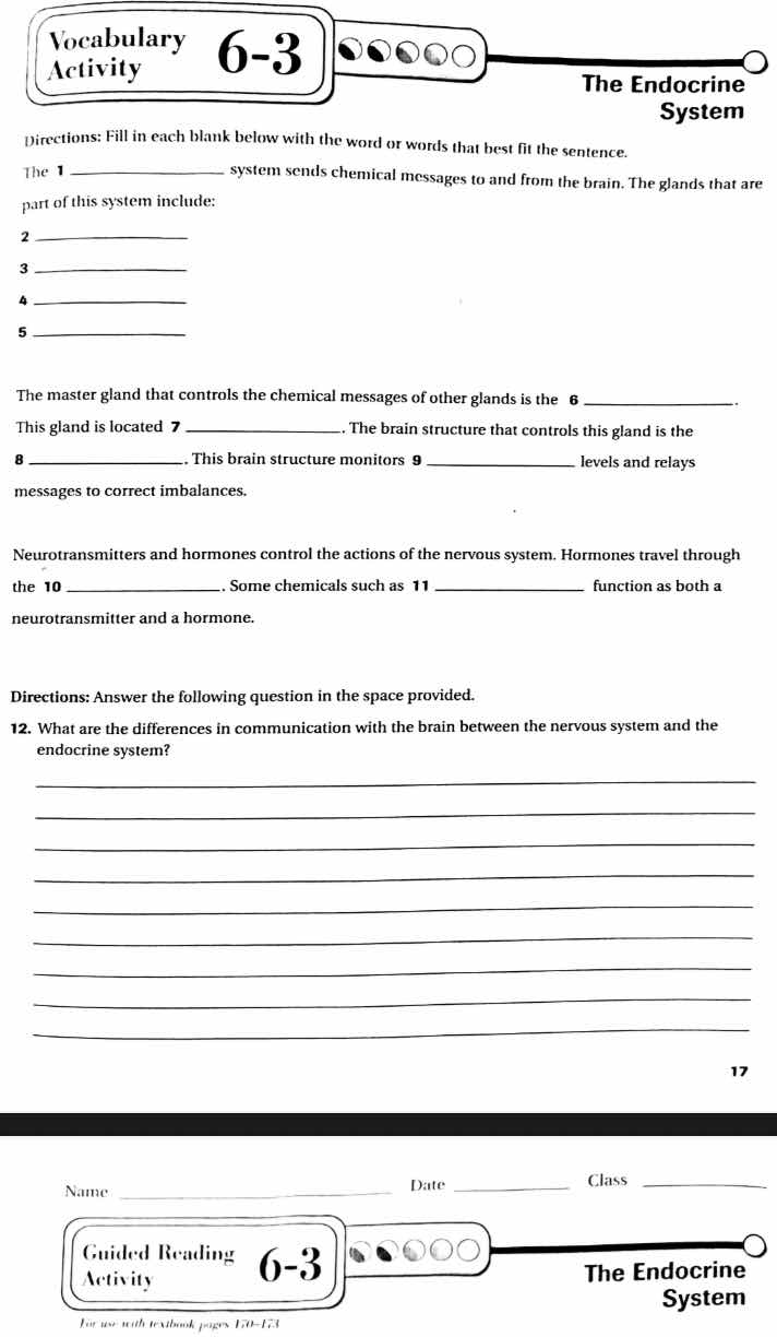 vocabulary activity 6-3 the endocrine system directions: fill in each b…