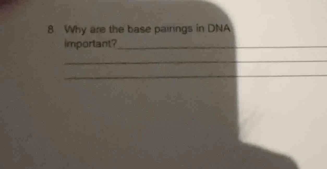 8 why are the base pairings in dna important?